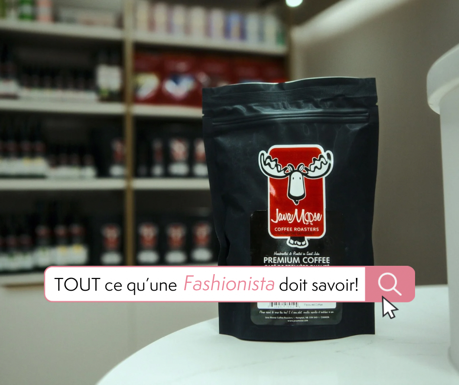 Java Moose - notre coup de coeur café