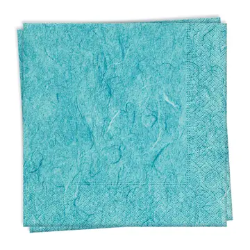 Serviettes de table Pure Petrol