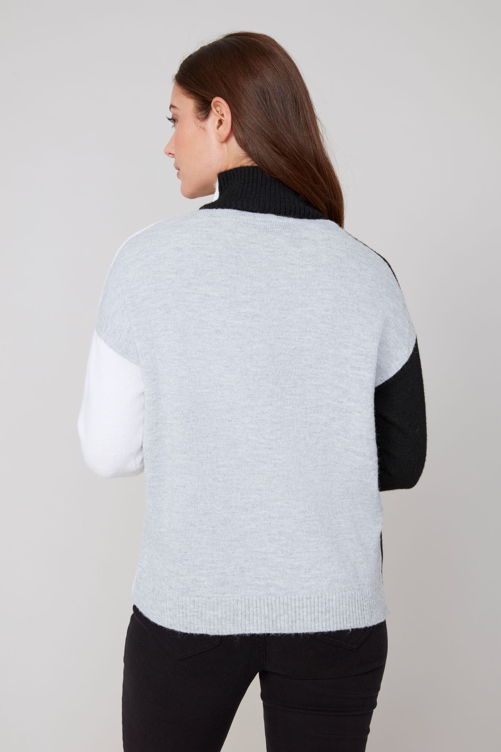 Pull avec col montant Renuar R6943