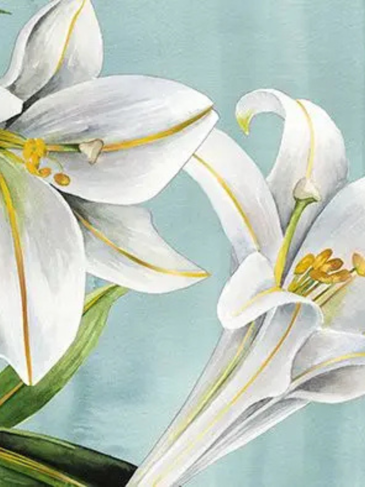 carte - Fleurs