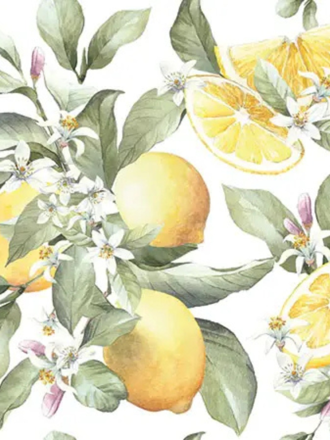 Serviette Cocktail - Limoni