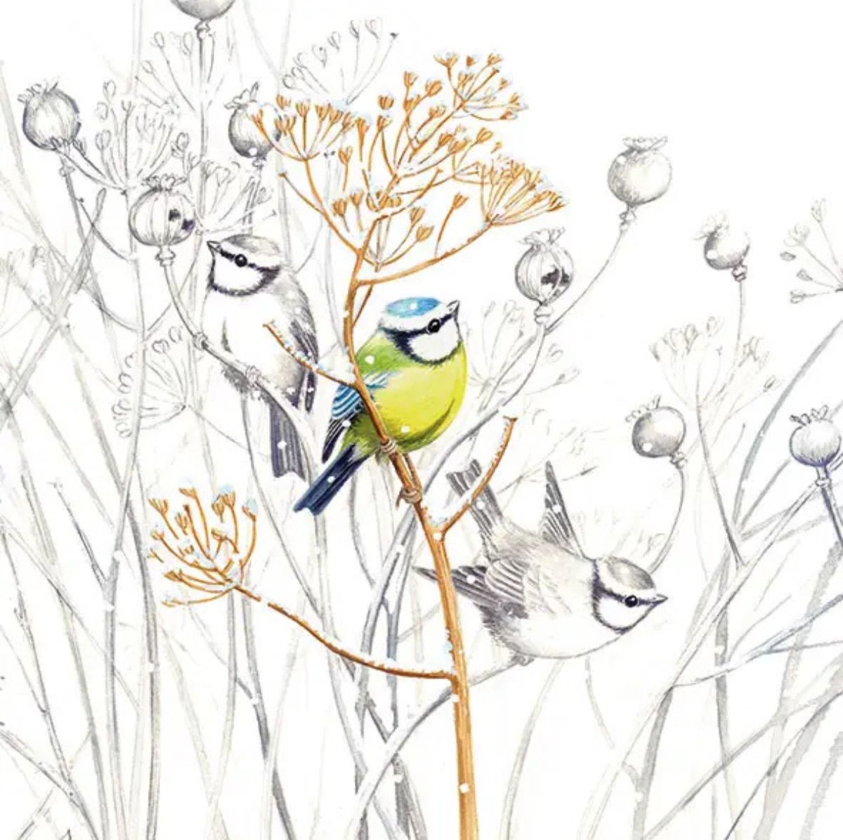 Serviette à déjeuner - Sweet Little Bird Elegant Gifts