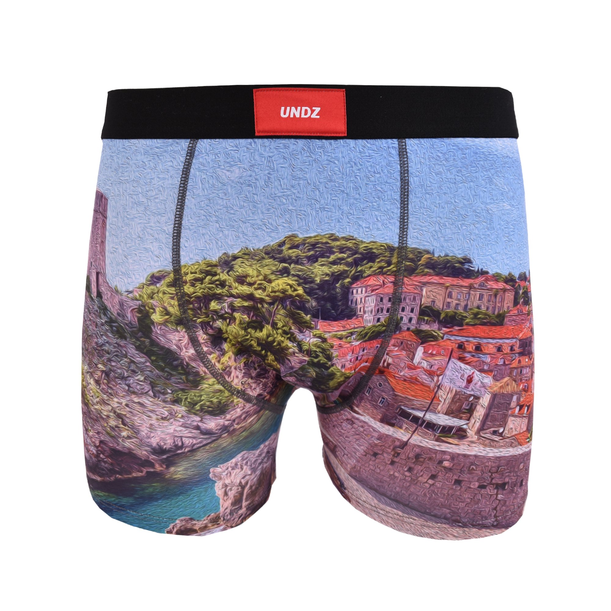 Boxer UNDZ Sum20 Classic Painting