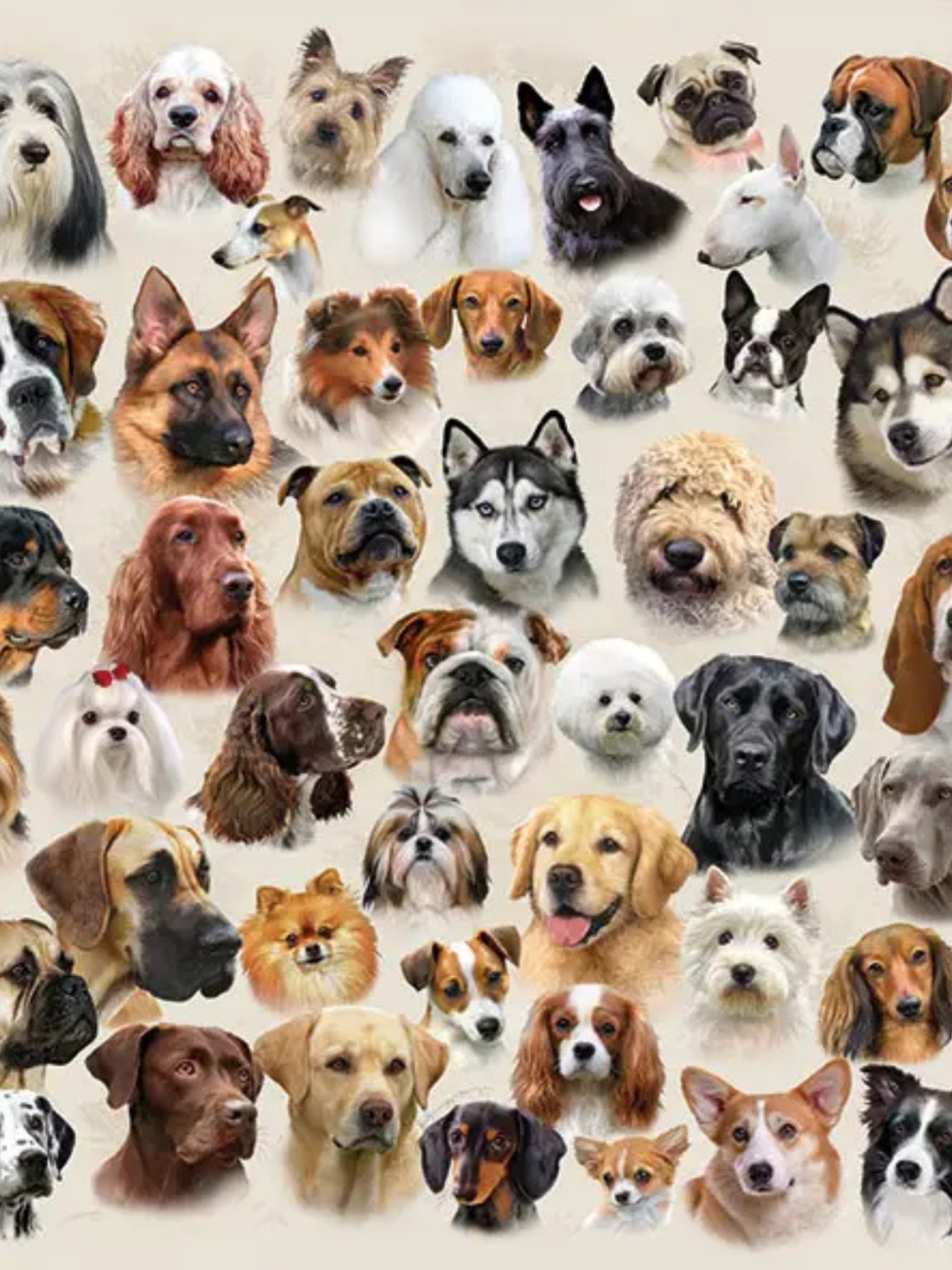 Serviette de Table - Collection of Dog
